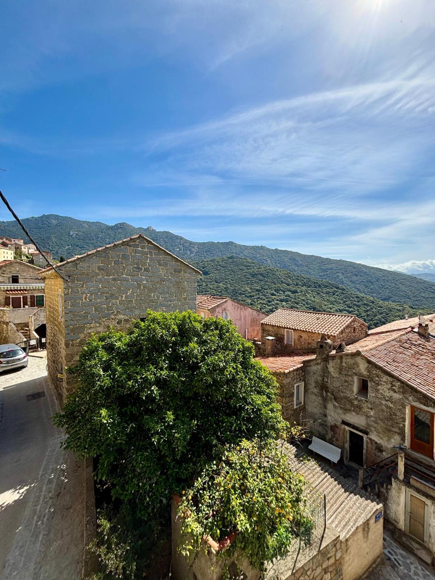 Hoetel U Santa Maria Olmeto  Oda fotoğraf